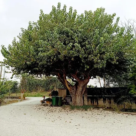 Lägenhet Il Casale Montemarciano
